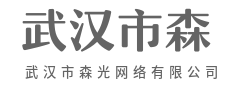 全域数据抓取,市场洞察一眼通透-武汉市森光网络有限公司